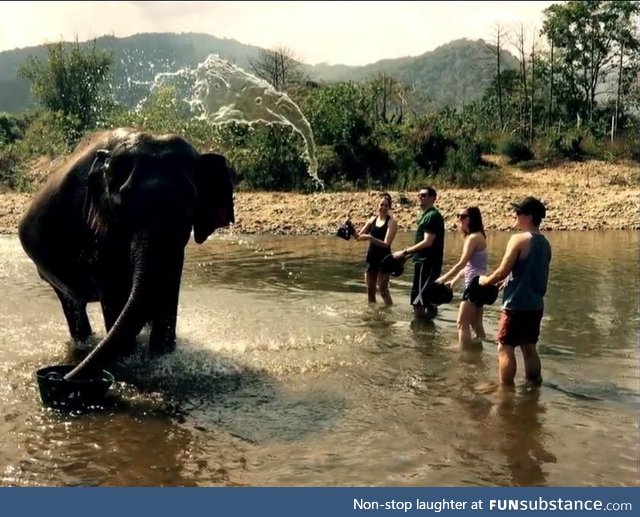 Elephant's Soul Flies Out Of His Body To Escape Annoying Tourists