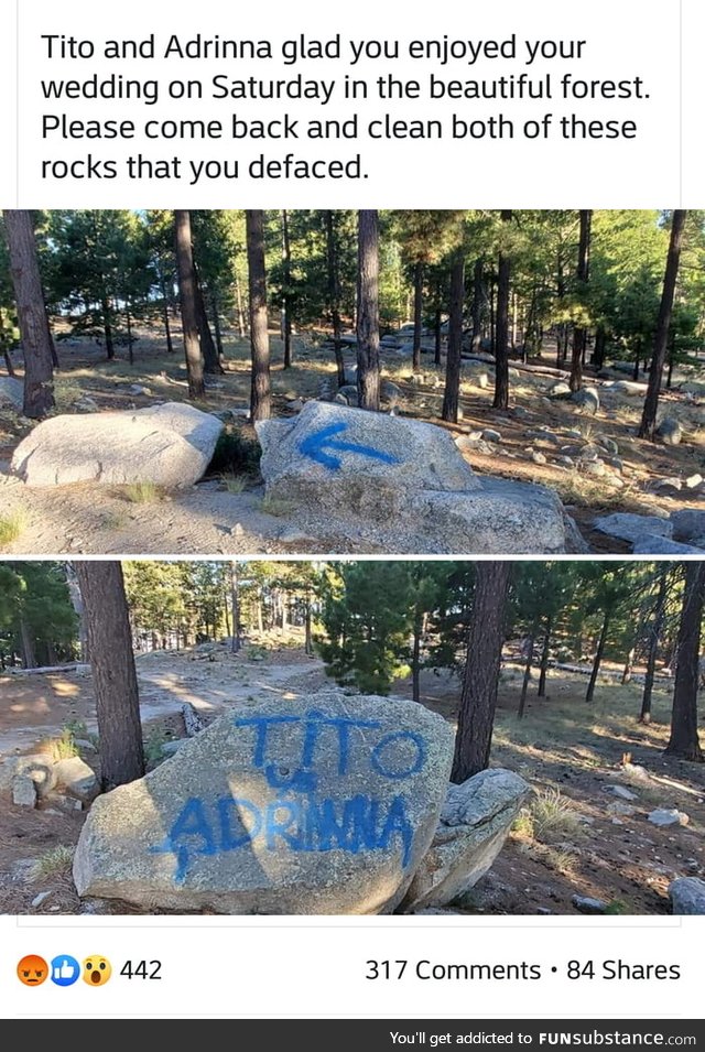 Imagine having your wedding in a national forest, then vandalizing said forest