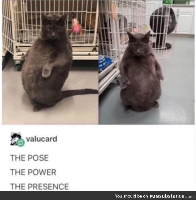 One does not simply defeat a chonk