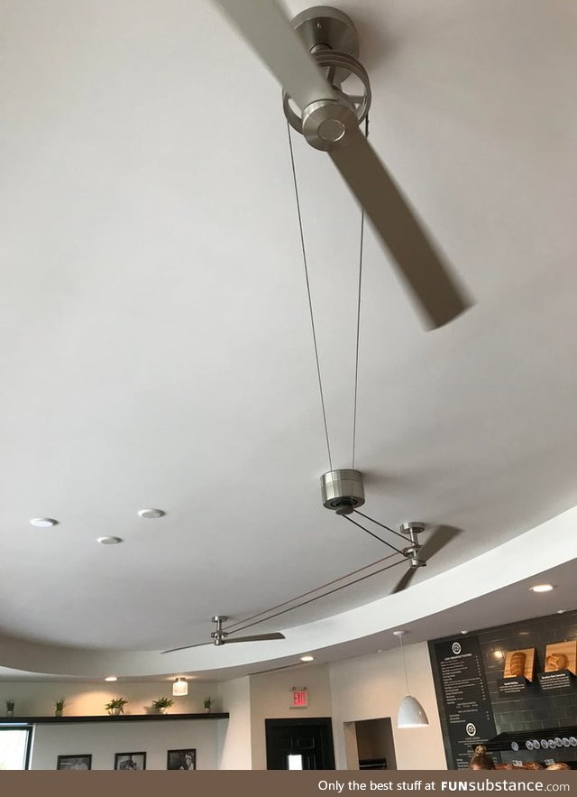 These three ceiling fans work on a single motor