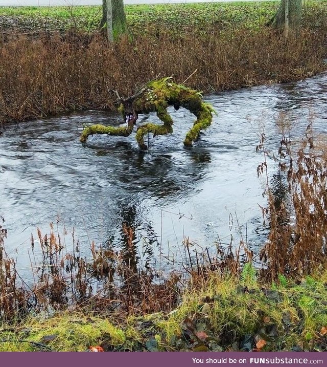 1 out of 3 swamp creatures made by a sculptor