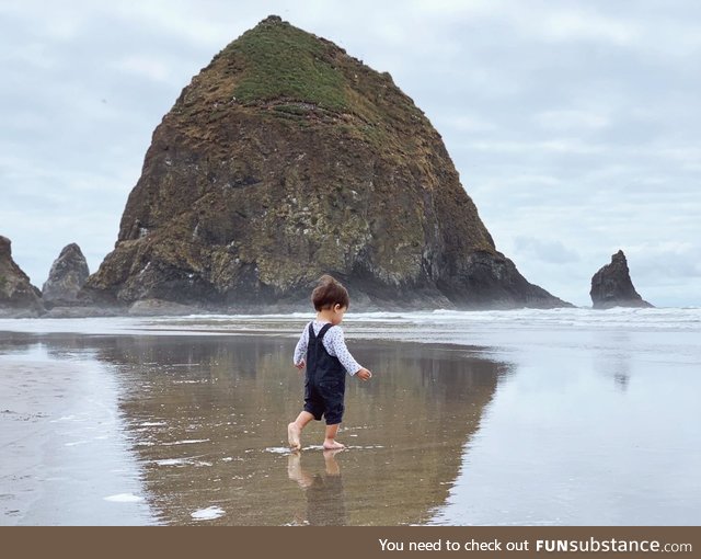 Took my almost 2 year old son to Cannon Beach today ????