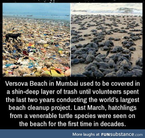 A cleanup can make a huge difference