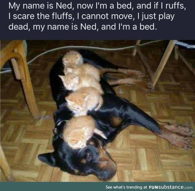 I could not, not share this