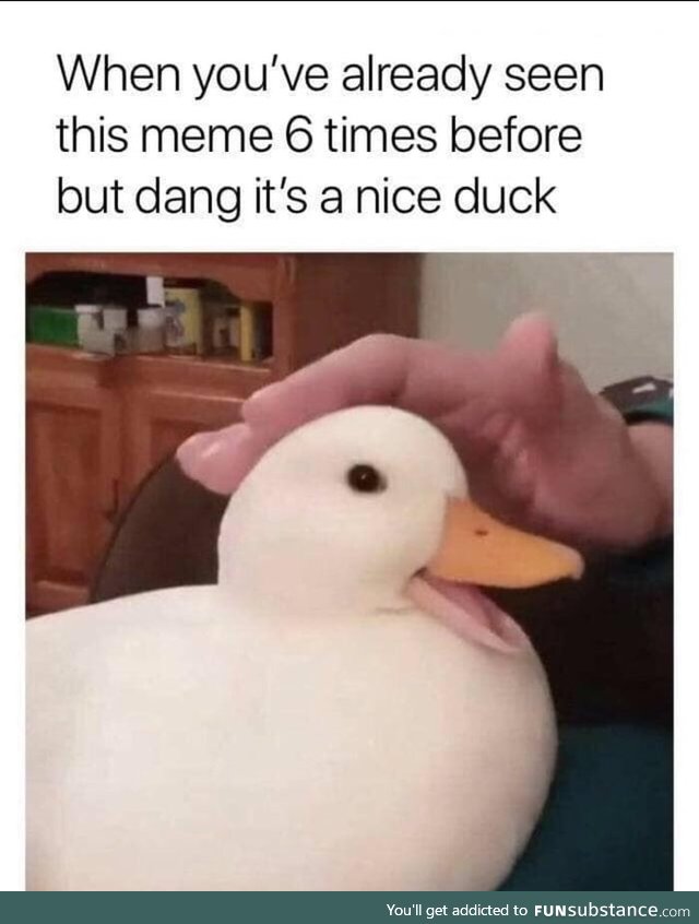 What's up Duck?