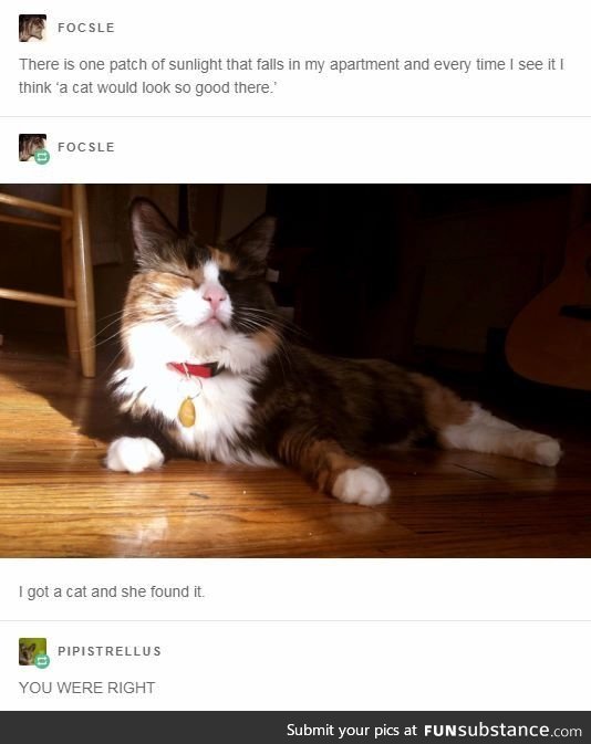 *looks at lap and thinks the same thing*