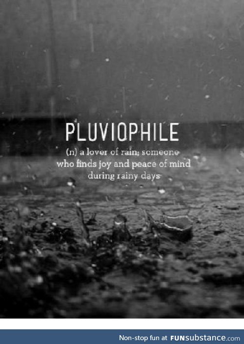 Pluviophile. It's a rainy day here and I love it