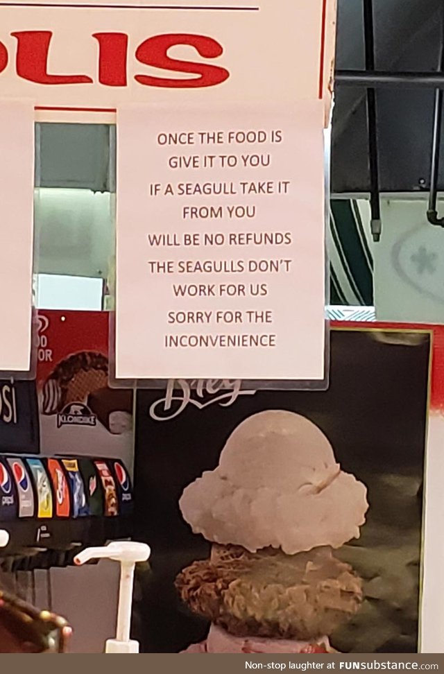 The Seagulls Don't Work For Us