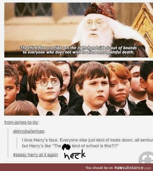 look out Harry