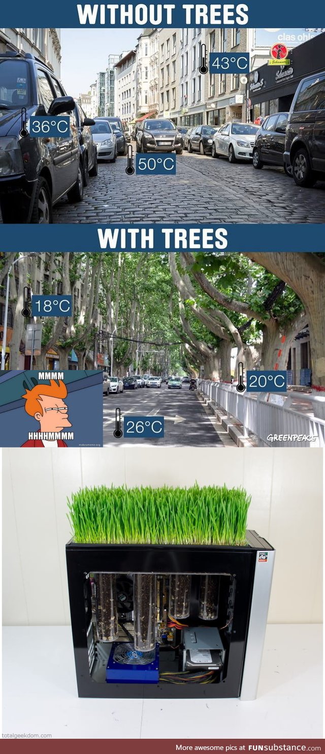 The benefits of Trees
