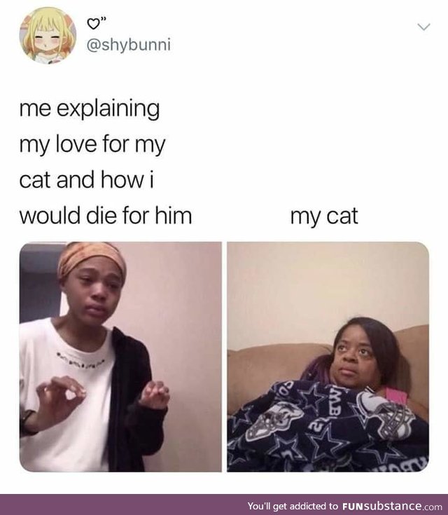I think we should see other people... - Cat, probably