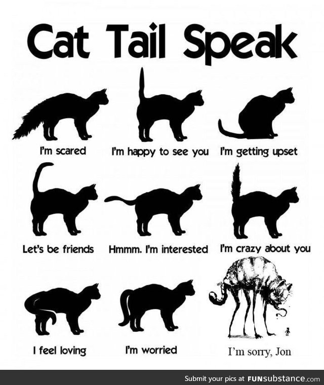 Understanding the cat tail