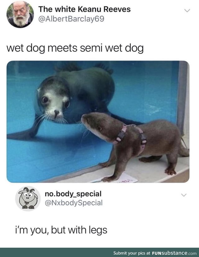 Sea dog