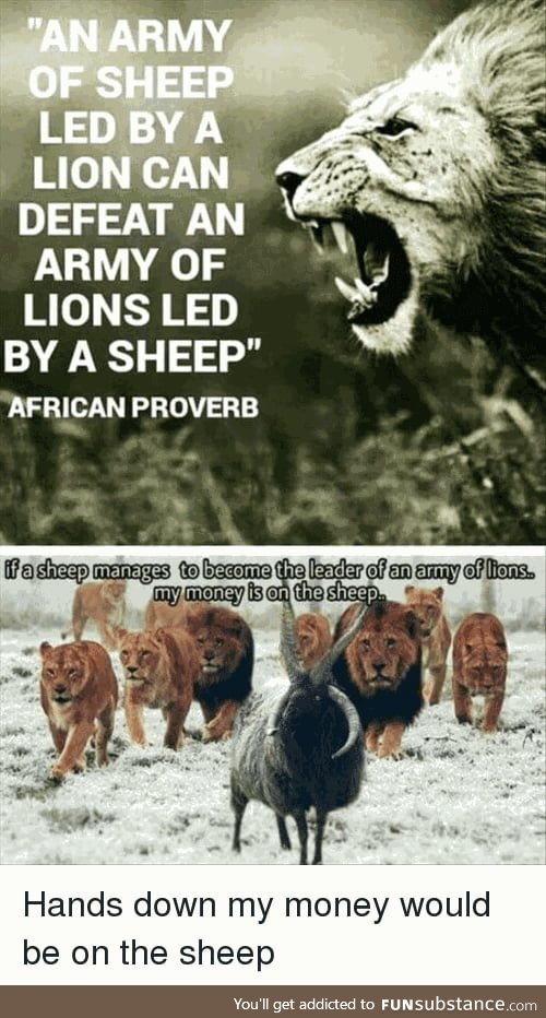 1 sheep+99lion vs 1 lion+99 sheep, which side will win?