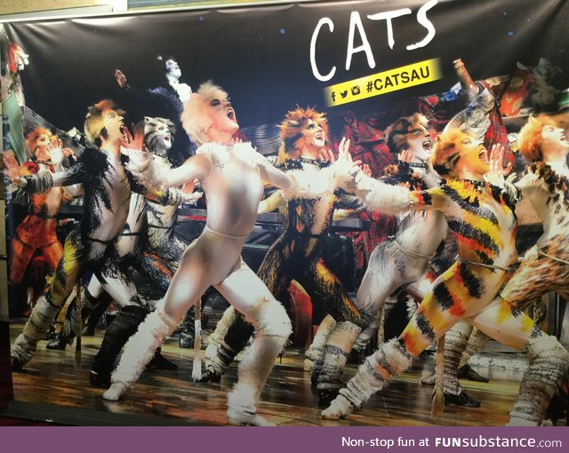 What the Cats movie could have and should have looked like (I took this photo a while back