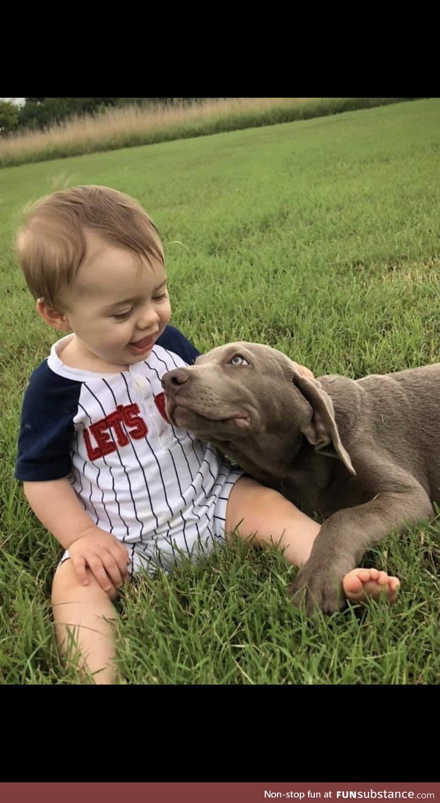 The way this puppy is looking at this baby