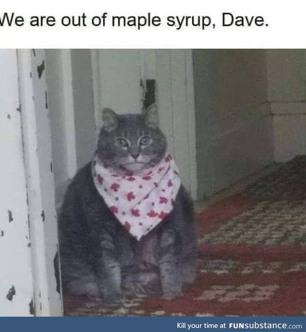 Bring it to me Dave
