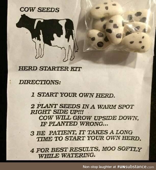Cow 'planting' 101