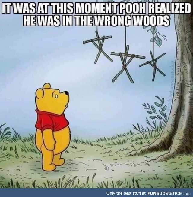 When Pooh realized he was in the wrong woods