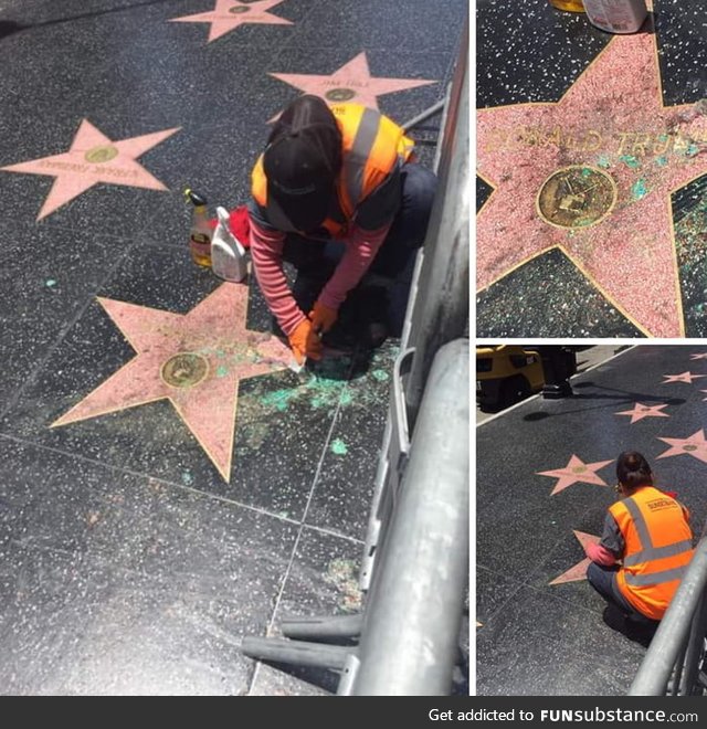 Trashing the Donald Trump star. Political stuff aside trashing public property is trashy