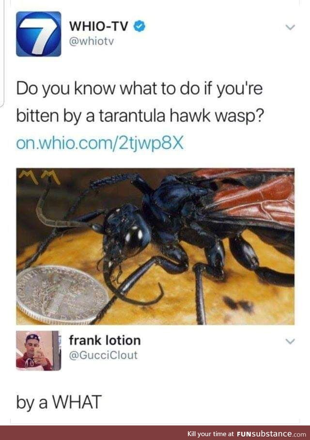 In australia they call it flies