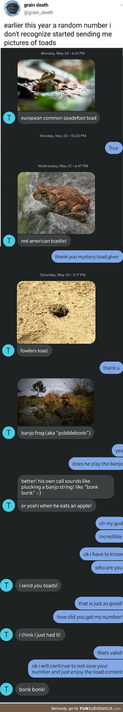 Wholesome_toads
