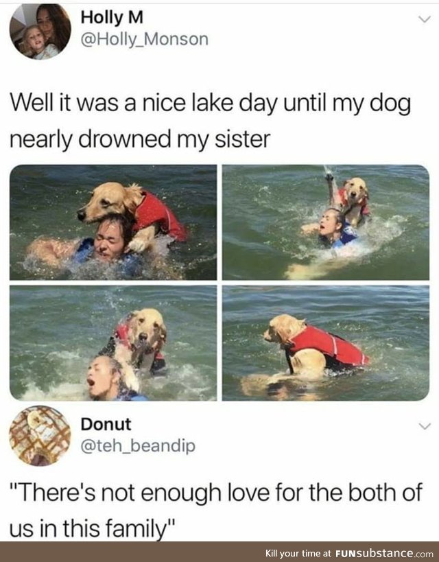 Dog&gt;Sister