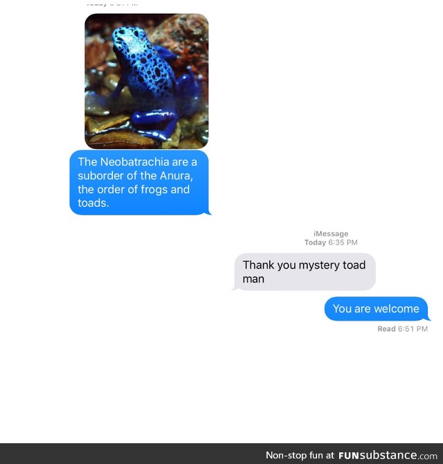 Tried out the toad thing and texted a random person.