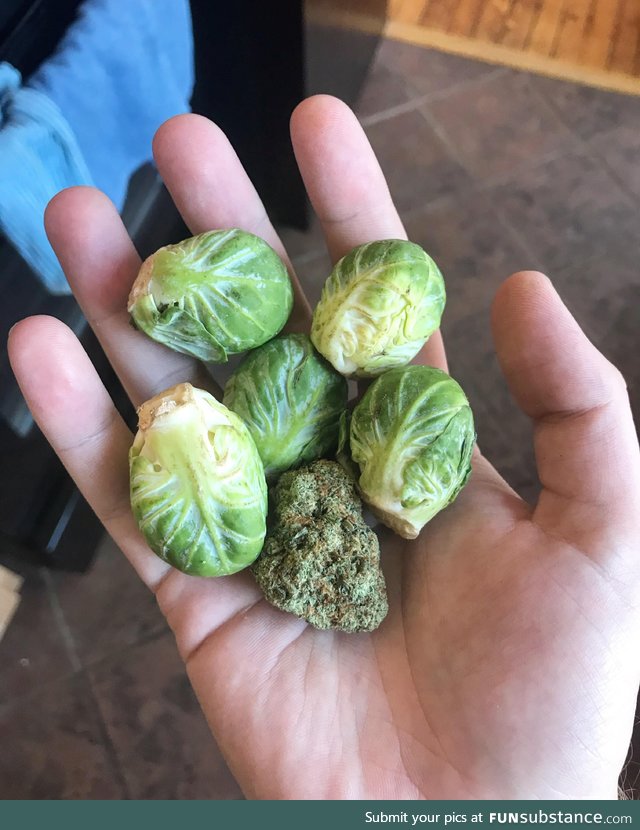 Been on a huge brussels sprouts kick lately