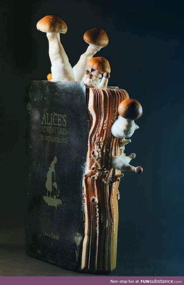 A water damaged copy of "Alice in Wonderland" which grew fungi