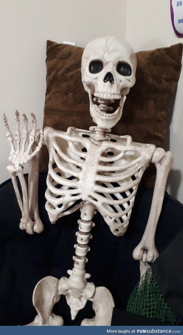 Here is my pet Skeleton, Eddy