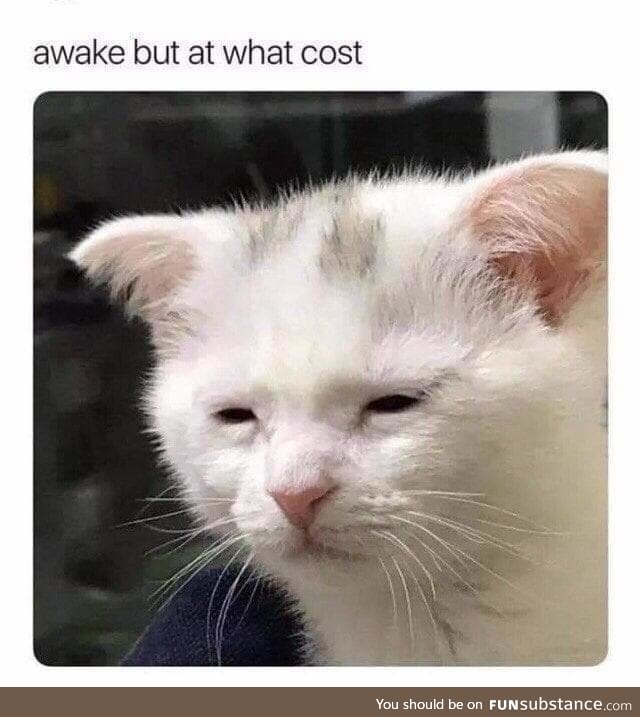 Not worth it