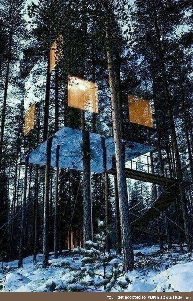A treehouse in Sweden camouflaged with mirrors