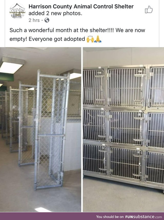 They all got adopted!!!