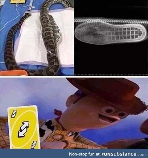 There's a boot in my snake!!