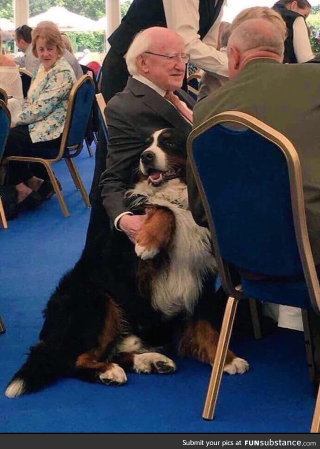 The President of Ireland with his Bernese Mountain dog Shadow