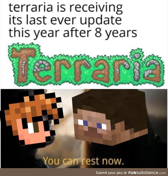 We love you 3000 Terraria