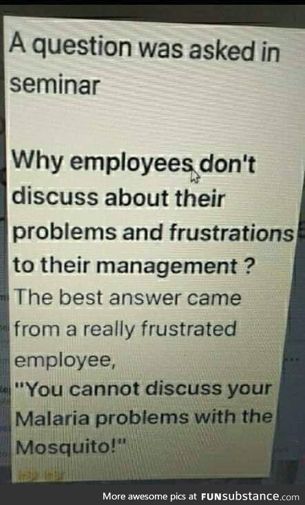 An employee don't leave the company, but he/she/it leaves his/heits manager