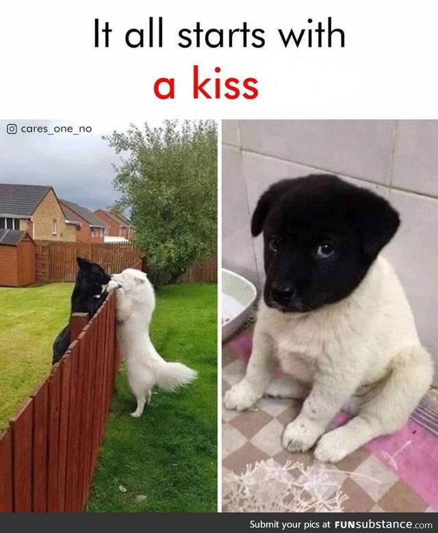 It all starts with a kiss