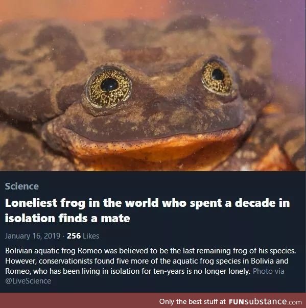 Froggo can get it, finally