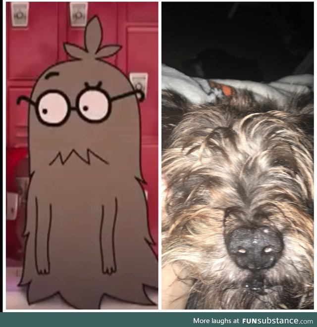 Is it just me or does my dog look like Mr Brown from Amazing World of Gumball?