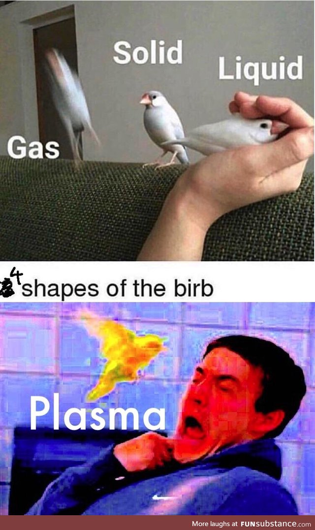 BIRB OF DOOM