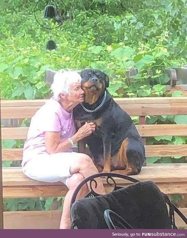 A really wholesome moment spotted