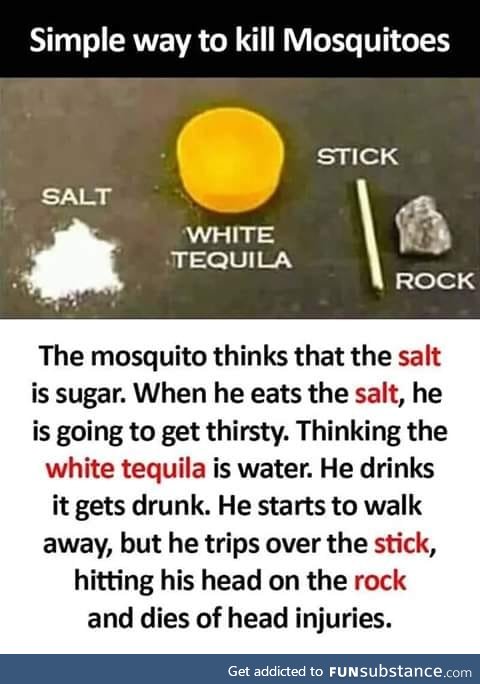 How to kill mosquitoes