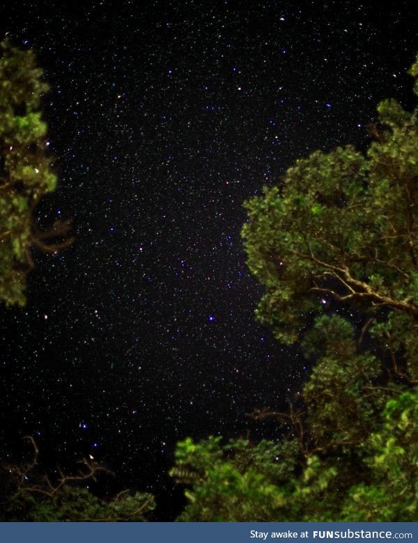 The stars from outside my cabin