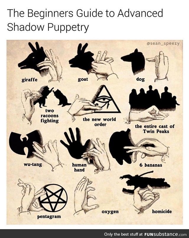 You've probably never heard of shadow puppetry