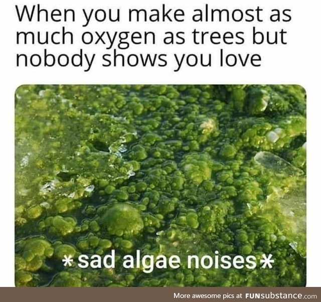 Damn....Poor algae.