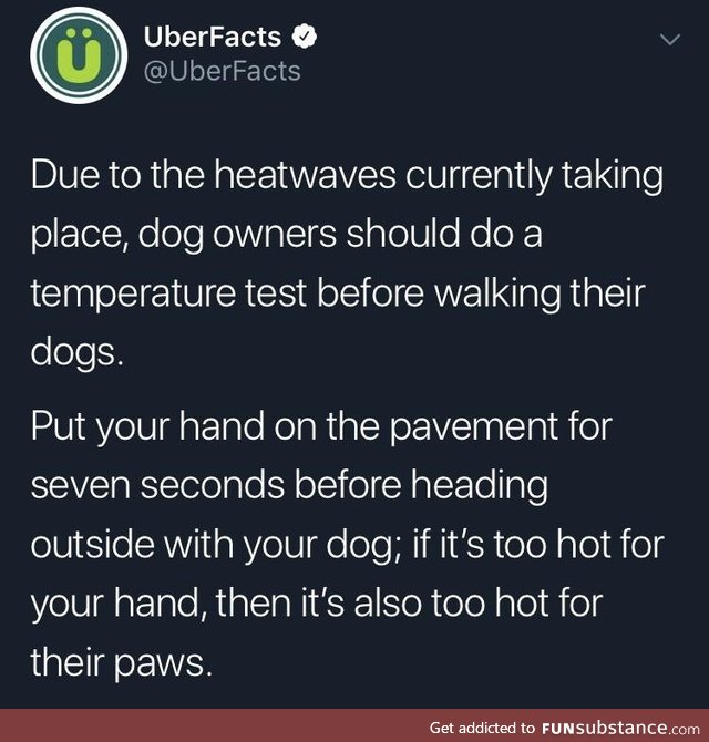PSA Please protect pupper paws