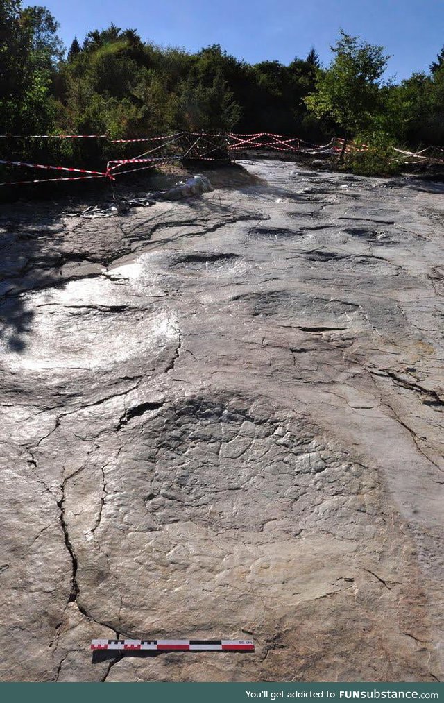 Dinosaur Footprints in France
