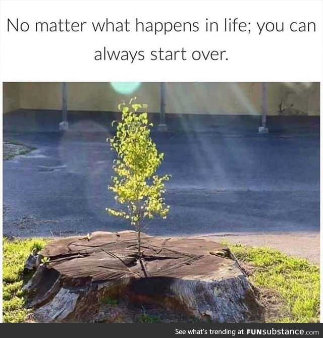 Don’t give up !
